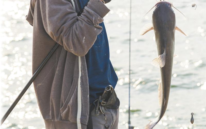 Welcome anglers