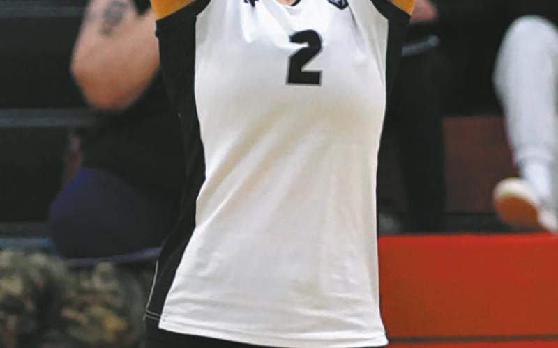 Brooke Gullickson sets the ball in the Region 2 tournament against New Rockford Sheyenne. Photo by Larry Stokke.