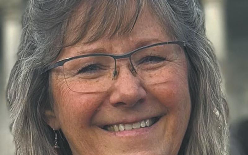 Karen A Anderson (R-Grafton), running for District 19 State Representative. Submitted photo.