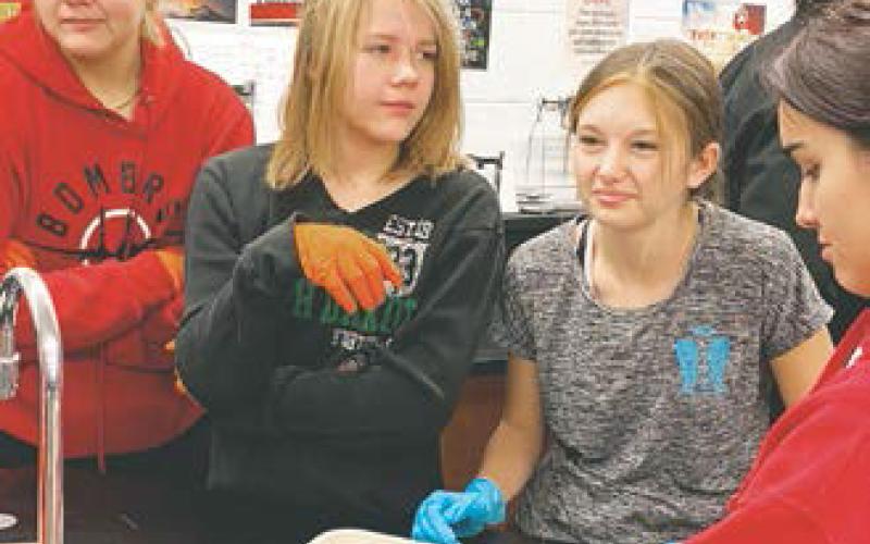 Alyvia Quibell, Alyssa Hoyles, Taylor Hermanson, and Justyce Mallory cannot hide their looks of disgust while they dissect their frog. Photo by Lyle Van Camp.