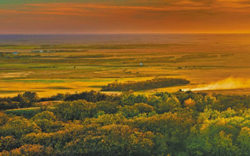 Winning photo in the ‘landscape’ category.