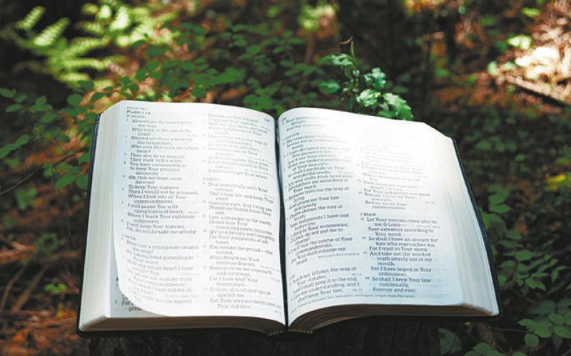 Prism of prose: Psalm 119