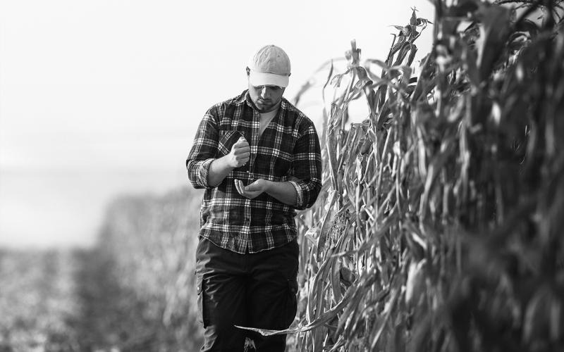 Agricultural professionals may feel too occupied with other responsibilities to handle personal or family needs.