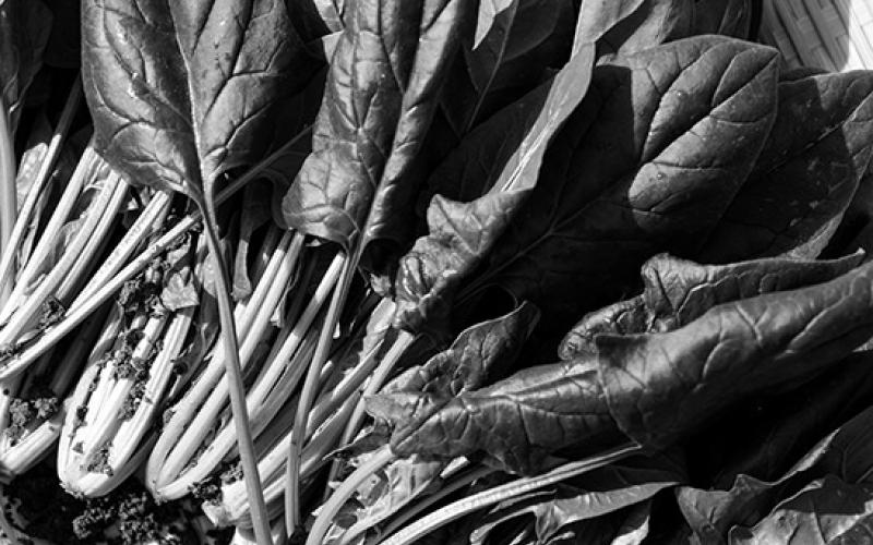 Spinach is rich in natural plant compounds that fight disease. (Pixabay photo)