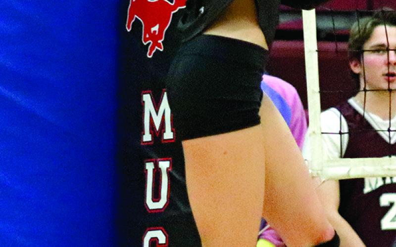 Emilee Reilly goes up for the spike in Minto against the Mustangs in the last regular season game. VNV Photo by Lesa Van Camp