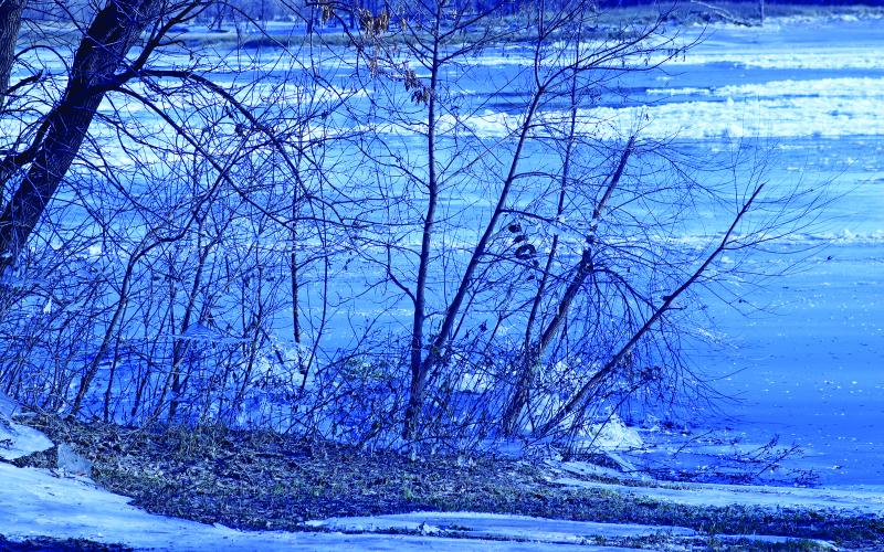 The last of the Autumn leaves still clinging to the trees mixed with icicles and frozen chunks floating upstream can be seen along the Red River banks. VNV Photo by Lesa Van Camp