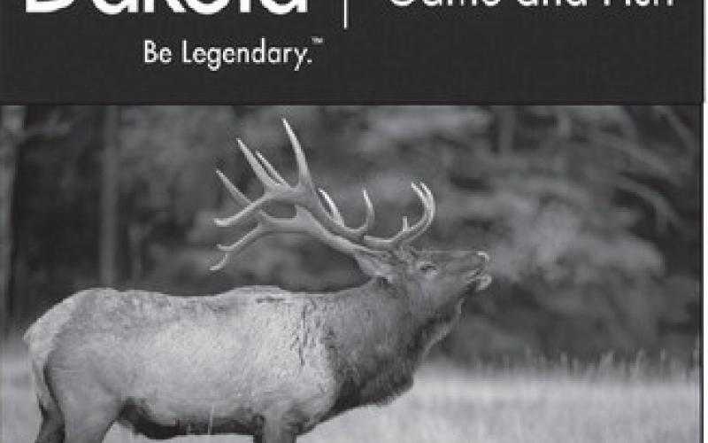Elk, moose, bighorn sheep applications online
