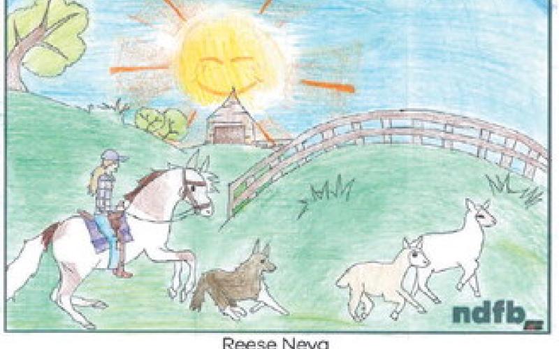 NDFB announces winners of "Farmers of Tomorrow" art contest
