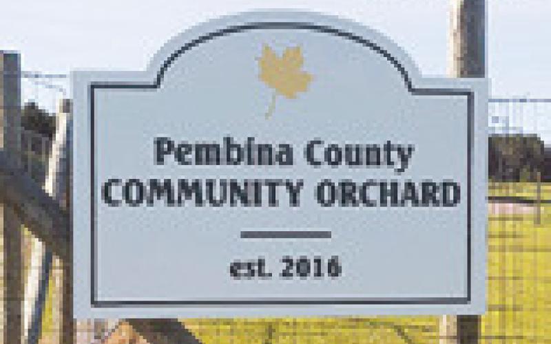 Pembina County Community Orchard benefist from Outdoor Heritage Fund and Renewable Energy Program grant