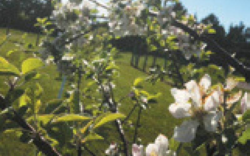 Pembina County Community Orchard benefist from Outdoor Heritage Fund and Renewable Energy Program grant