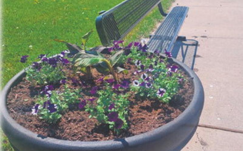 Caring for Community