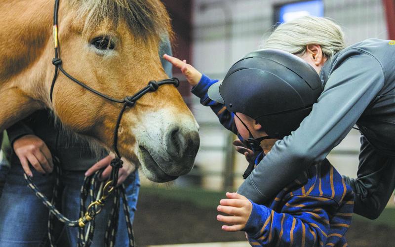 Bison Strides partners veterans and individuals with disabilities and horses to build strength, resiliency and independence. Photo courtesy NDSU