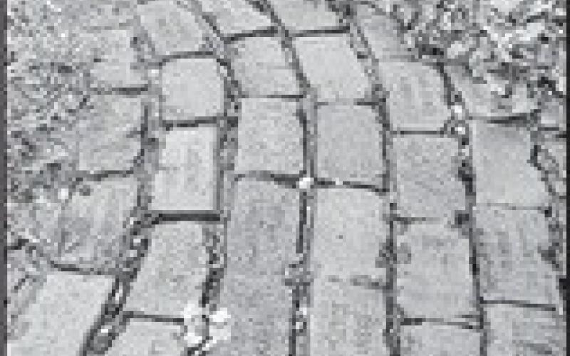 Alt Text for Image