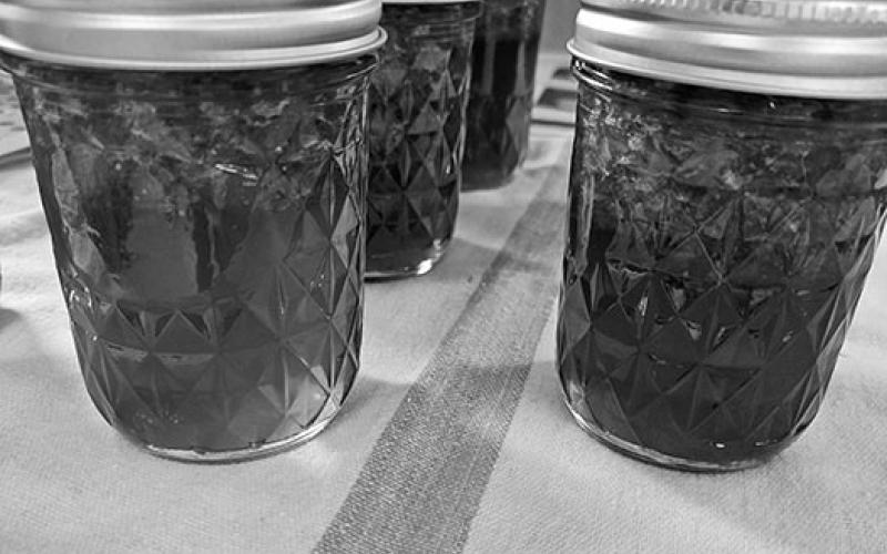 The curriculum covers how to safely preserve different types of food including salsa, jelly, sauerkraut, meats and vegetables. (iStock photo)