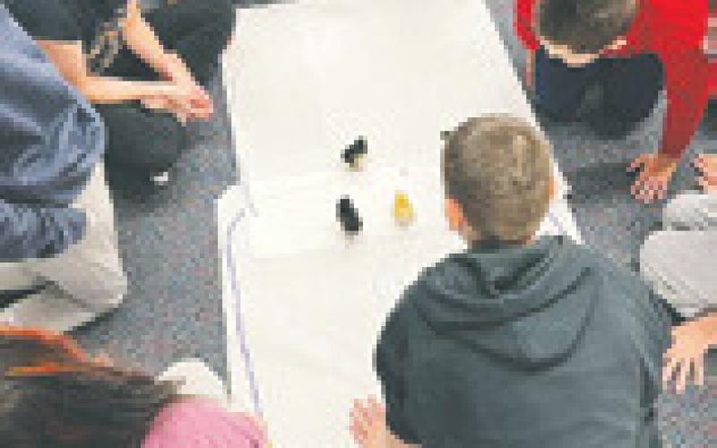Students rally around with excitement for a “chicken race.” Photo submitted by Adam Riddle.