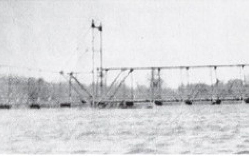 Reverse snowbird