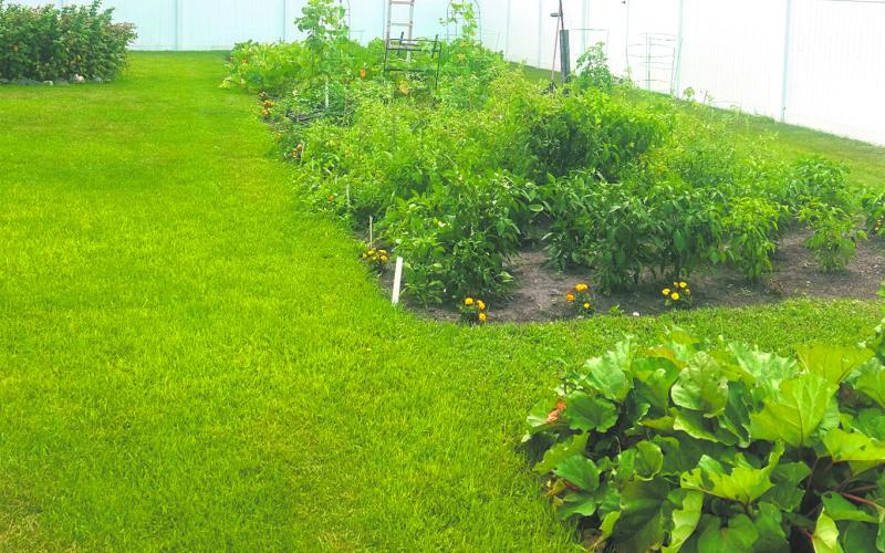 Johnson’s plush gardens provide her with a variety of fresh ingredients for her cooking. Photo by Christine Jensen