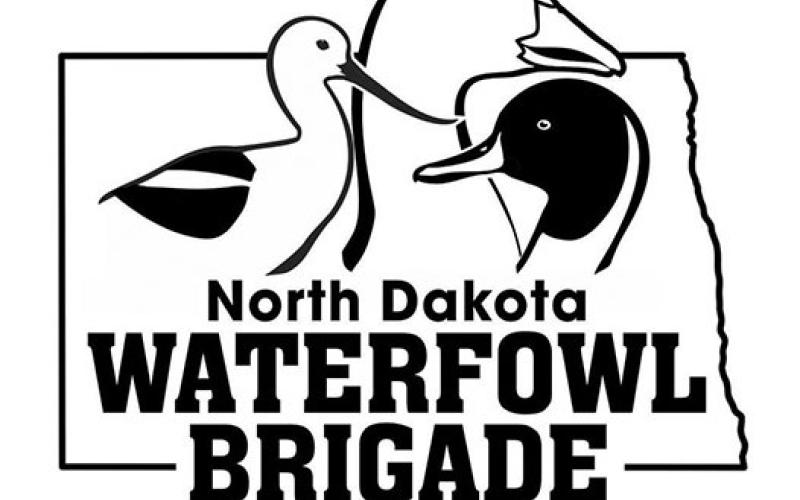 Youth Conservation and Leadership Summer Camp