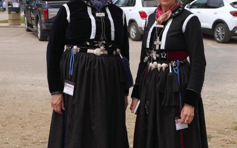 PreservIng Icelandic Roots