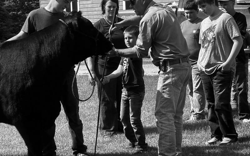 Youth will rotate through species-specific workshops led by NDSU Extension agents and local agricultural experts at the From Barn to Ring: Developing Skills for Every Species camp. NDSU photo