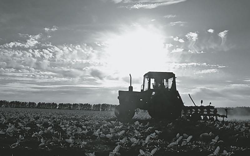 Record temps and record yields