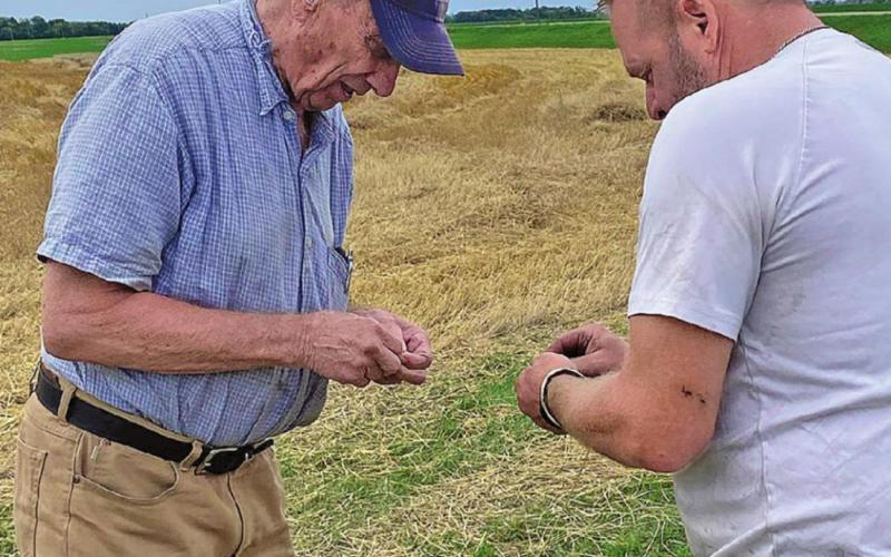 Checking our the crop are Melvin Such from Hallock and Gary Jensen. Photo by Kari Jensen