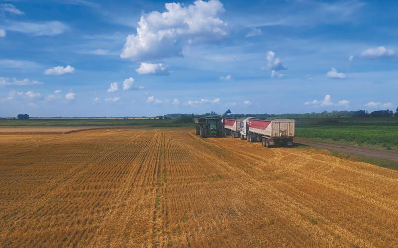 It’s harvest time in the Valley