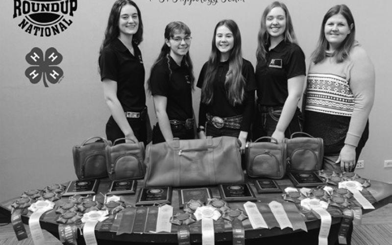 The North Dakota 4-H hippology team was overall national champion and took home numerous individual and team placings at the National Western 4-H Roundup. Team members are (from left): Anne Schauer, Mikaela Woodruff, Emily Fannik, Olivia Lebrun and coach Paige Brummund. (NDSU photo)
