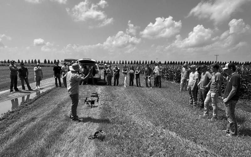 Farmers, agriculturalists and NDSU Extension staff are invited to attend the row crop tour at the Carrington Research Extension Center. (NDSU photo)