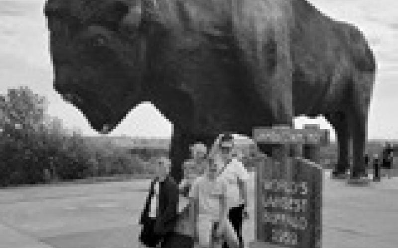 My Two CenTs | whirlwind Trip
