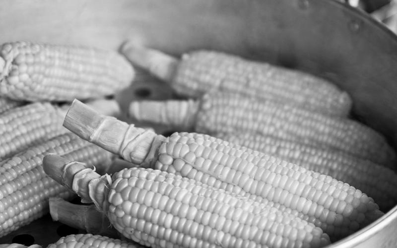 To blanch corn on the cob, bring water to a boil, add the cobs and then begin the timing process when the water begins boiling again. Pixabay photo
