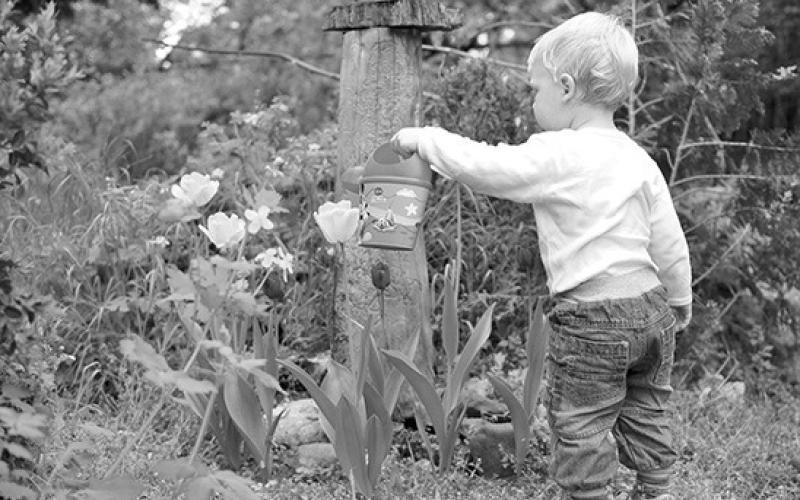 Kids learn a lot from gardening experiences. (Pixabay photo)
