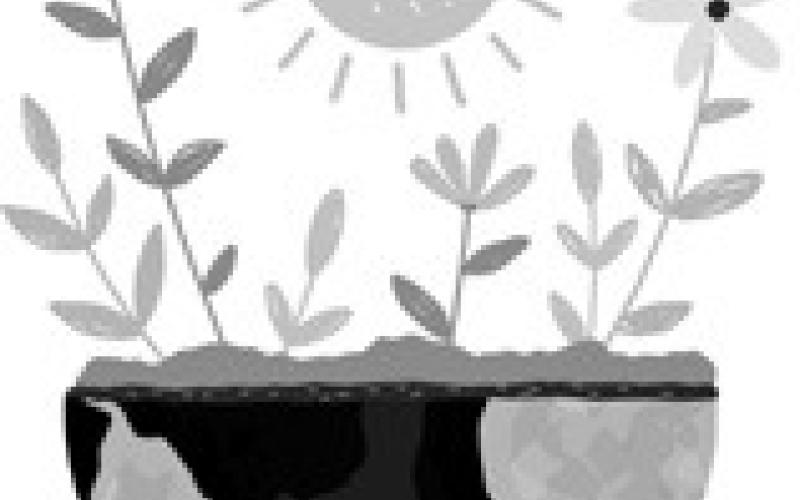 Dakota Gardener: Make hay while the sun shines
