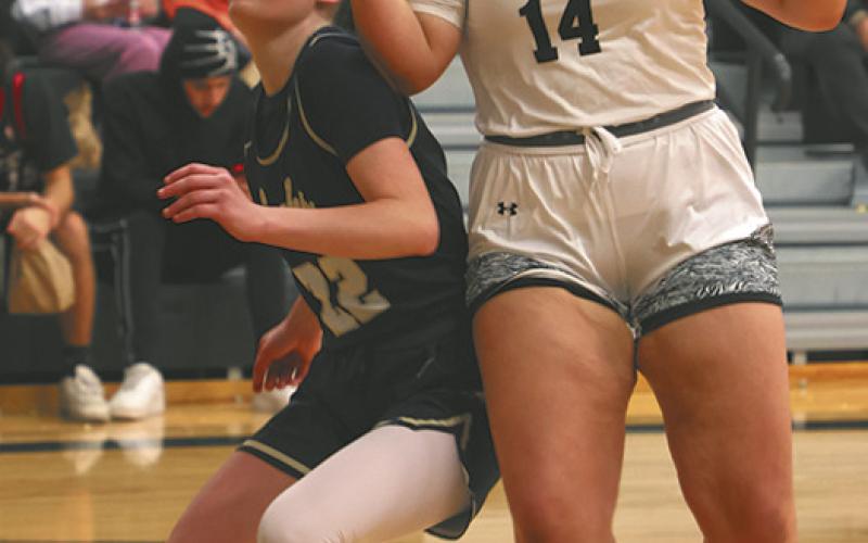 Lady Titans beat Hillsboro-Central Valley, suffer first loss two days later