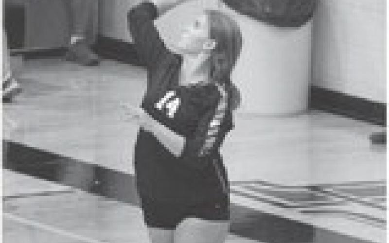 Aleah Pokrywinski serves the ball vs. Park River. She finished the match with two Services aces for D-V-E.
