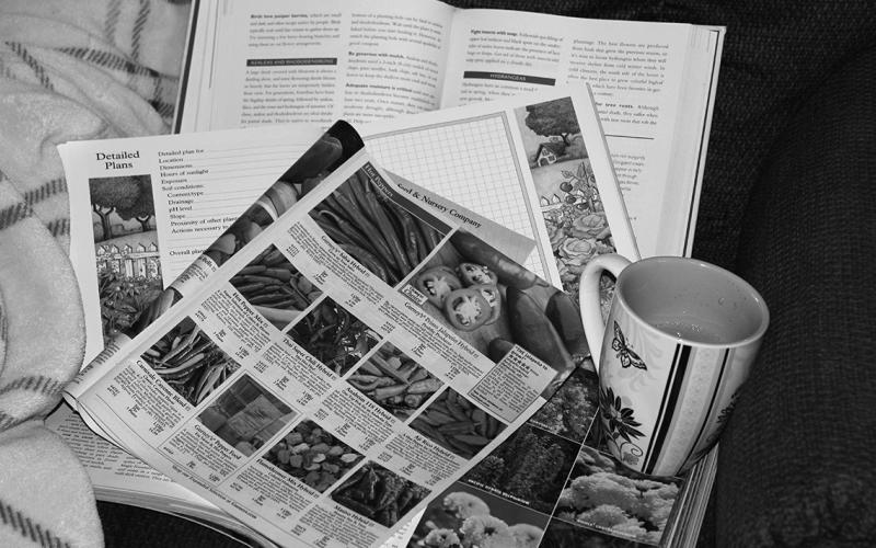 Dakota Gardener: Planning your garden
