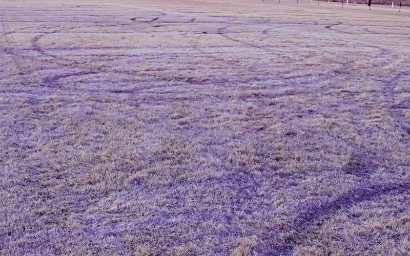 Pictured above are the tracks left by the joy riders who tore up the football field over the weekend. VNV Photo by Lesa Van Camp