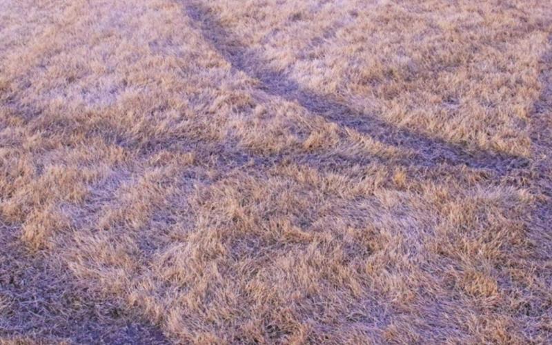 A closer look at the ruts left behind by the vandals. VNV Photo by Lesa Van Camp
