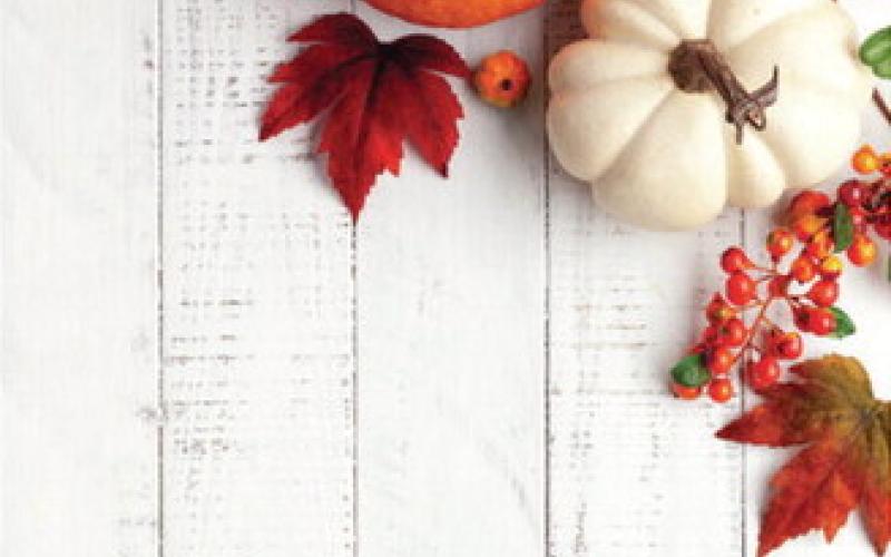 Annual Harvest Festival