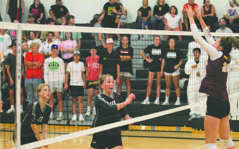 Sophomore Easton Larson follows through as her spike gets past the block of Grafton’s Addison Frederickson.