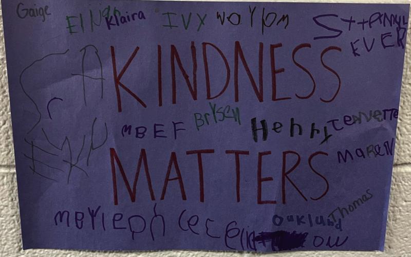 This poster, along with several kindness drawings, were hung throughout DPS hallways by the preschool class to remind students the importance of being kind to one another.