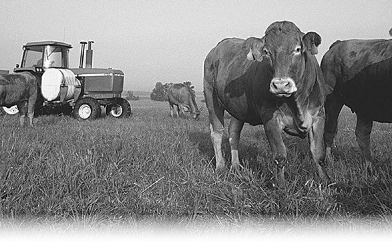 Preserve your grasslands
