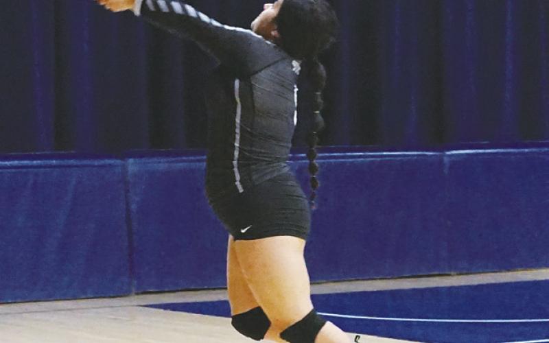 Emily Gonzalez makes a diving dig against the Eagles. Photo by Larry Stokke.