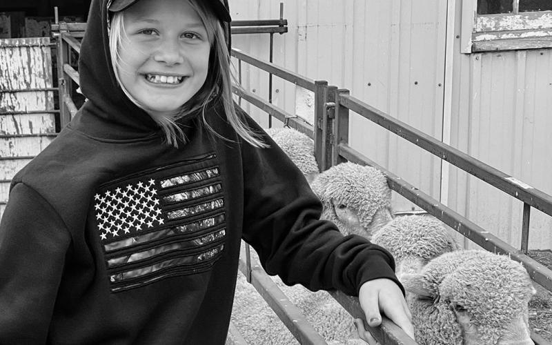 Sheep production offers youth an opportunity to grow a business, learn record keeping and manage finances. NDSU photo