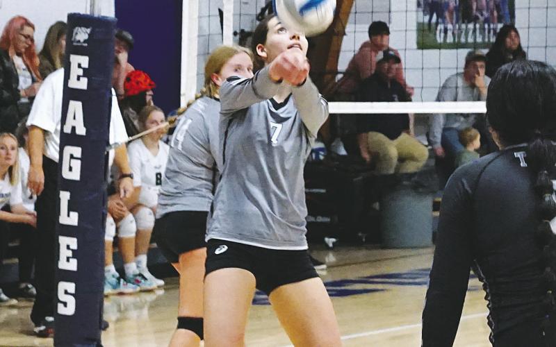 Elizabeth Fedje bumps the ball back over the net against the NB Eagles. Photo by Larry Stokke.