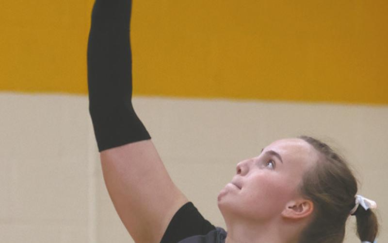 Aleah Pokrzywinski focuses on her serve in action against H-CV. Photo by Lyle Van Camp