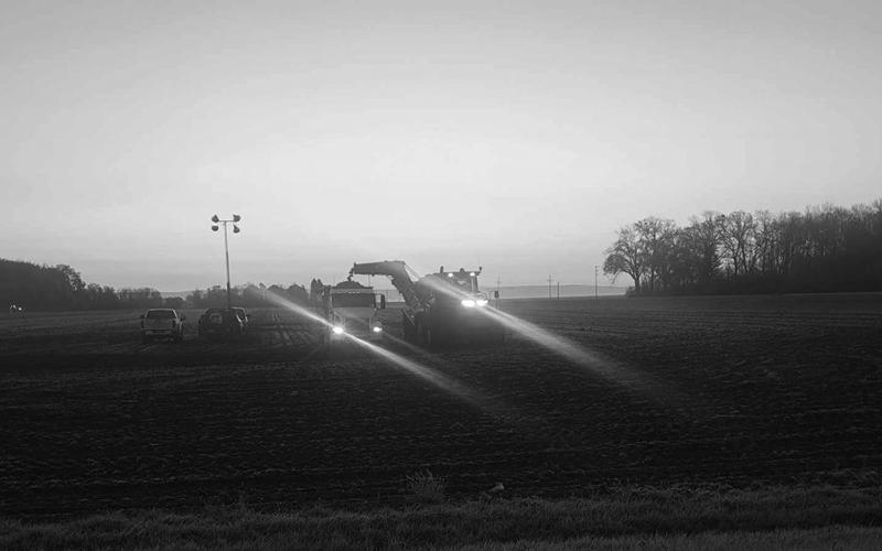 Woinarowicz Brothers Farms harvesting beets east of Robin, Minnesota. Photo by Christine Jensen.