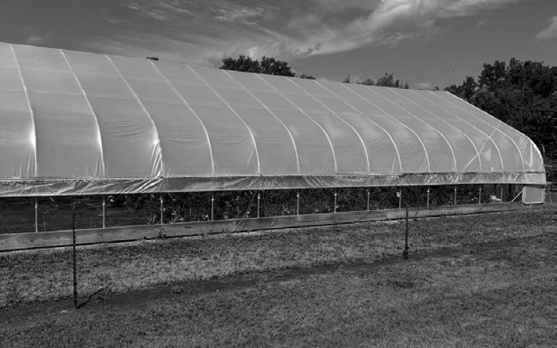 Fruit, vegetable and woody plants field day