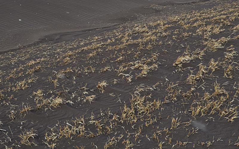 A ditch full of topsoil taken March 23 after a significantly windy day. Photo by Andrea Johnston
