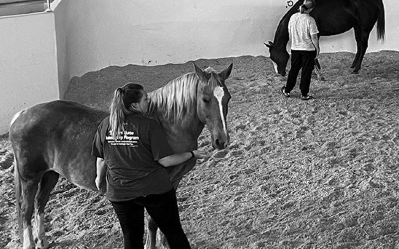 NDSU Bison Strides is hosting a workshop designed for equine professionals who want to learn more about working with mental health and education professionals who partner with horses to provide services. (NDSU photo)
